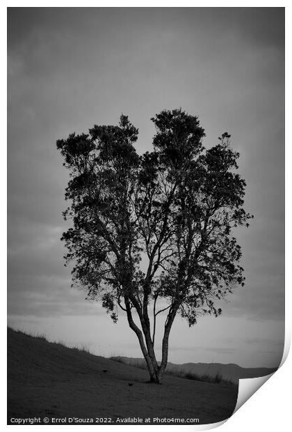 Lone Tree Stands Tall on a Hill Print by Errol D'Souza
