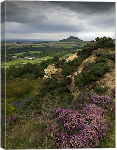 Roseberry Topping and Heather, Cleveland Hills Canvas Print by Gary Eason