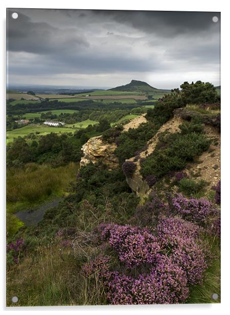 Roseberry Topping and Heather, Cleveland Hills Acrylic by Gary Eason