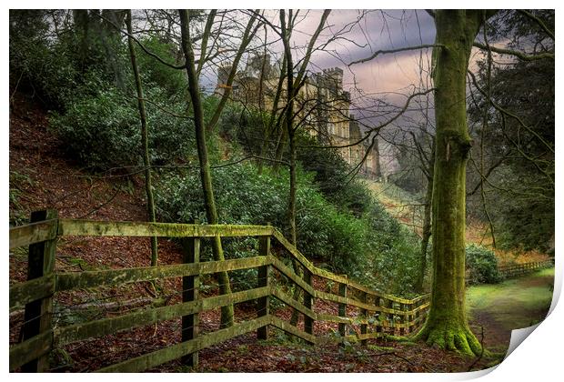 Craig-y-Nos Country park Print by Leighton Collins