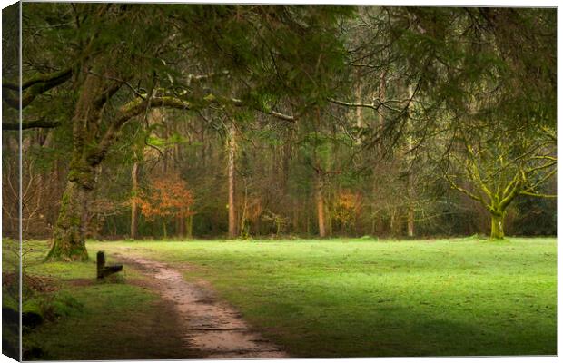 A quiet bench at Craig-y-Nos Canvas Print by Leighton Collins