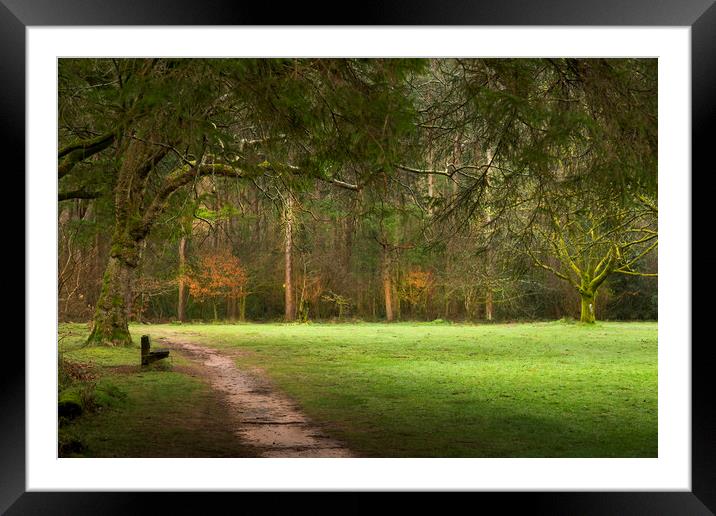 A quiet bench at Craig-y-Nos Framed Mounted Print by Leighton Collins