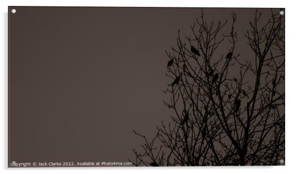 The Crows Acrylic by Jack Clarke