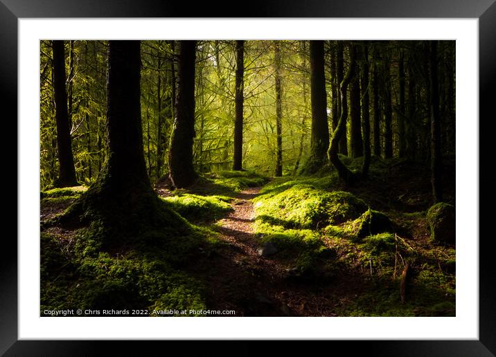 Coed Y Brenin Forest, Snowdonia Framed Mounted Print by Chris Richards