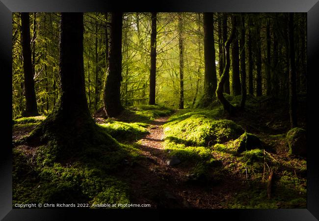 Coed Y Brenin Forest, Snowdonia Framed Print by Chris Richards