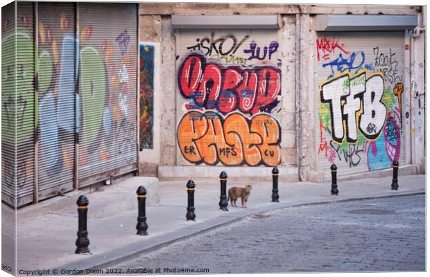 Cat and Graffiti - Istanbul side street Canvas Print by Gordon Dixon