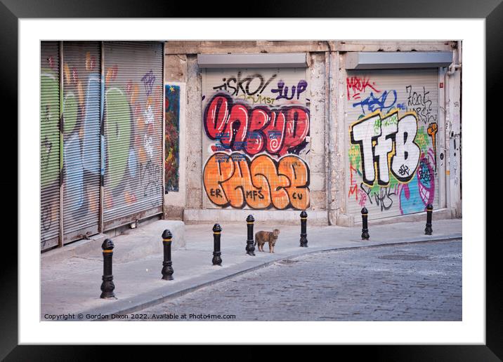 Cat and Graffiti - Istanbul side street Framed Mounted Print by Gordon Dixon