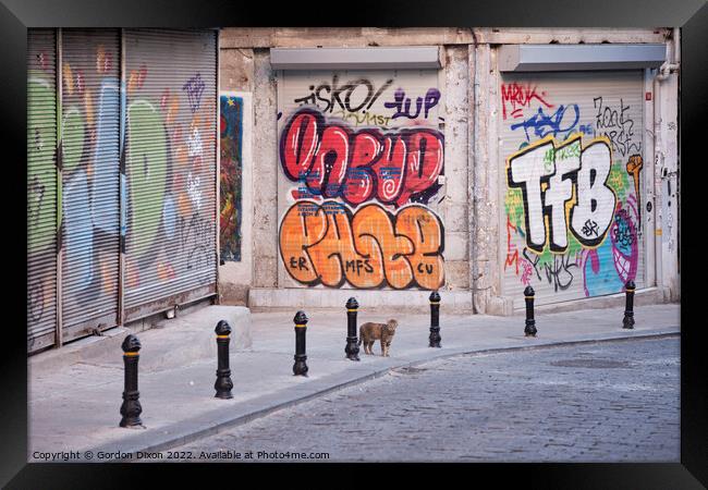 Cat and Graffiti - Istanbul side street Framed Print by Gordon Dixon
