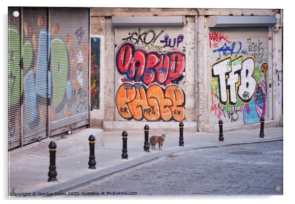 Cat and Graffiti - Istanbul side street Acrylic by Gordon Dixon