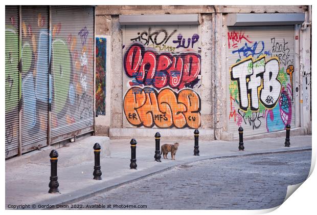 Cat and Graffiti - Istanbul side street Print by Gordon Dixon
