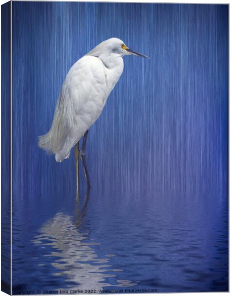 In the rain Canvas Print by Sharon Lisa Clarke