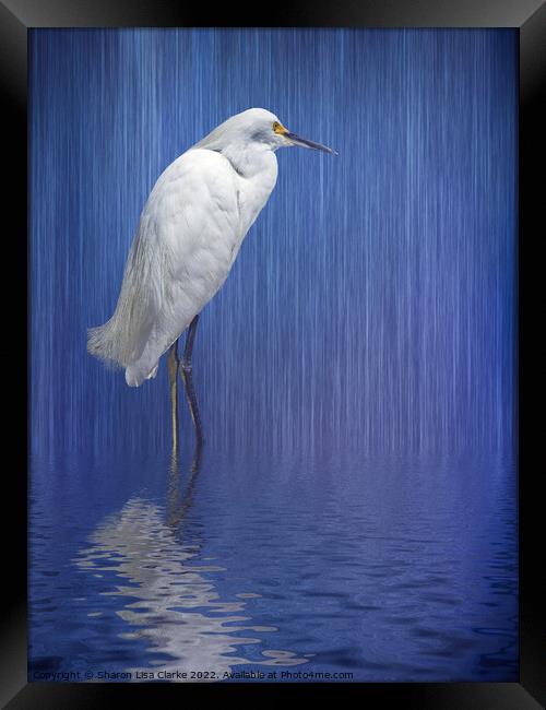 In the rain Framed Print by Sharon Lisa Clarke
