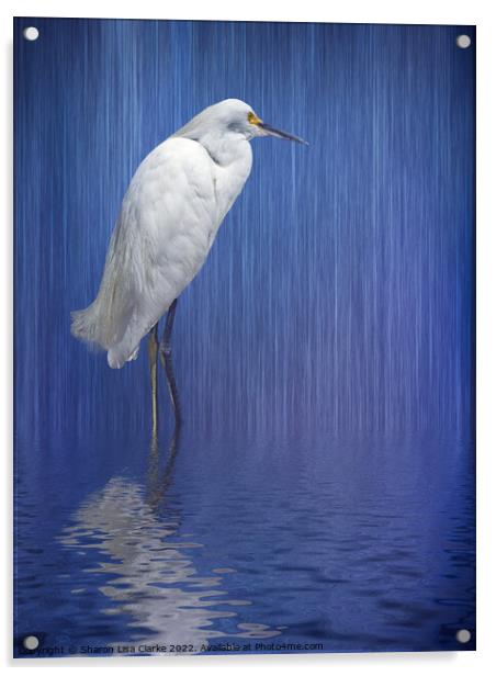 In the rain Acrylic by Sharon Lisa Clarke