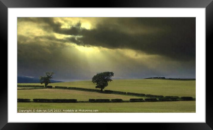 Out in the fields Framed Mounted Print by dale rys (LP)