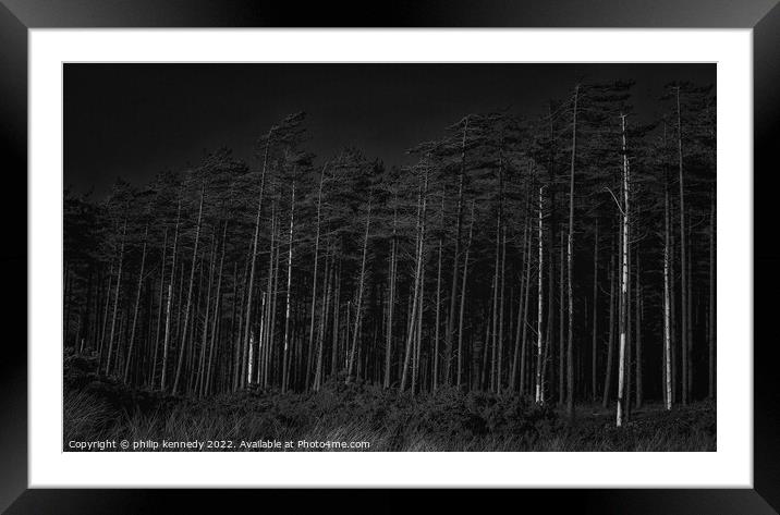 Newborough Forest Framed Mounted Print by philip kennedy