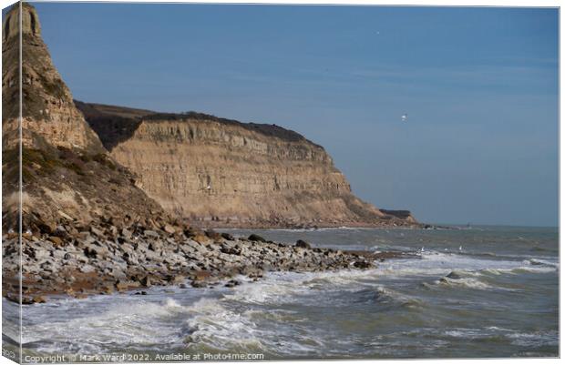 The Sandstone Cliffs of Hastings. Canvas Print by Mark Ward