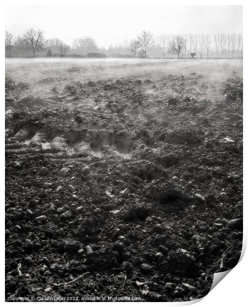 The awakening of the land in March _ monochrome Print by Claudio Lepri