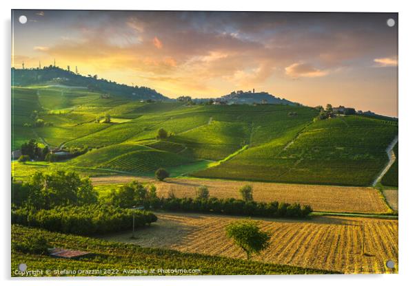 Barolo vineyards and La Morra town, Langhe, Italy Acrylic by Stefano Orazzini