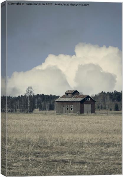 Isolated Barn in Field in the Spring Canvas Print by Taina Sohlman