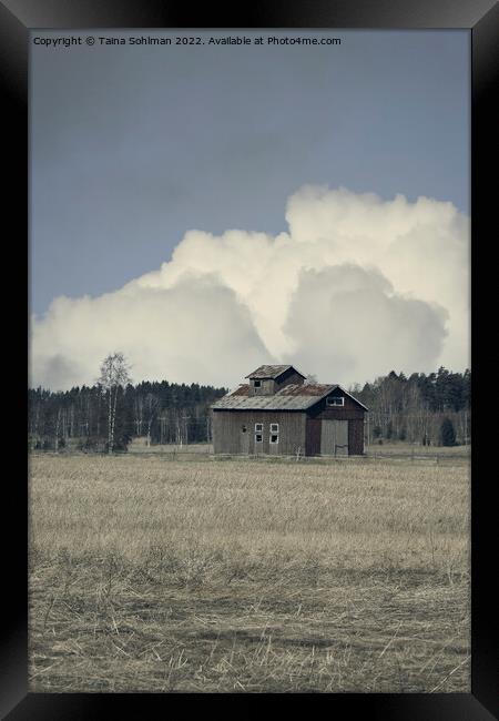 Isolated Barn in Field in the Spring Framed Print by Taina Sohlman