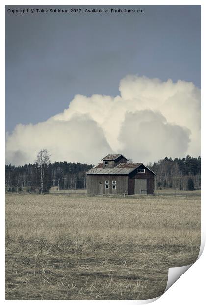 Isolated Barn in Field in the Spring Print by Taina Sohlman