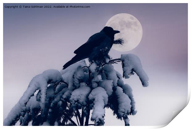Hooded Crow and Full Moon in Winter Print by Taina Sohlman