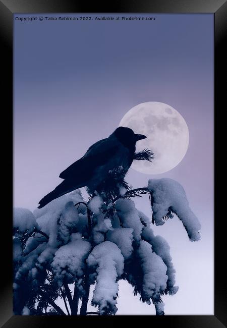 Hooded Crow and Full Moon in Winter Framed Print by Taina Sohlman