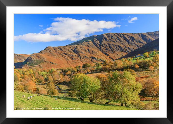 Newlands Valley Keswick Lake District Framed Mounted Print by Chris Warren