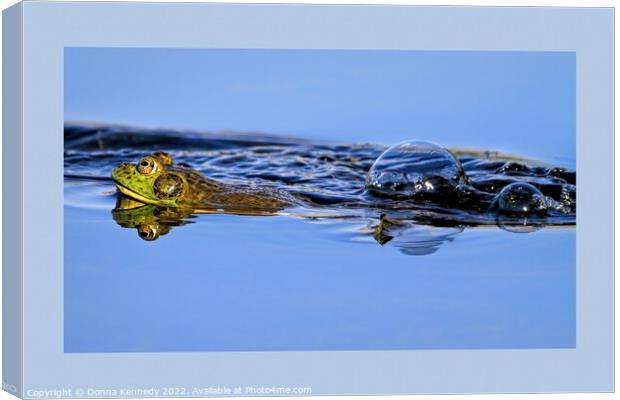 Leap Frog Canvas Print by Donna Kennedy