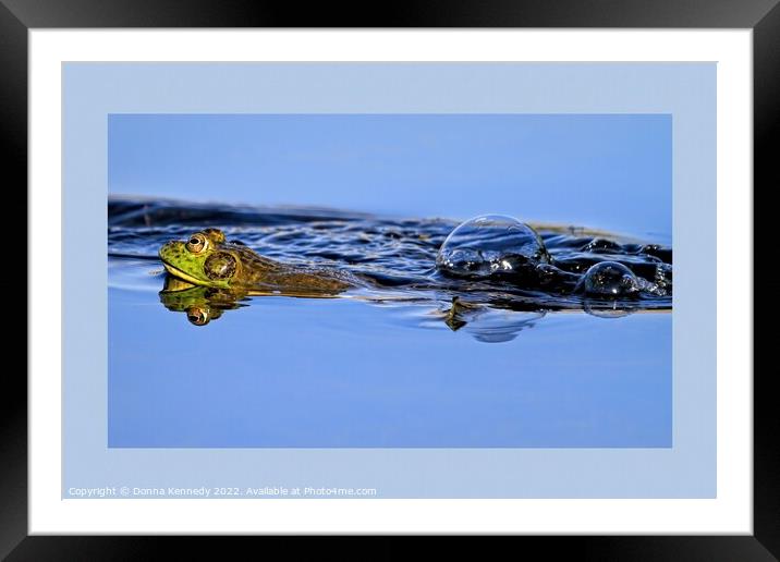 Leap Frog Framed Mounted Print by Donna Kennedy