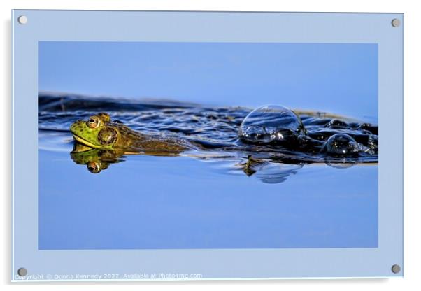 Leap Frog Acrylic by Donna Kennedy