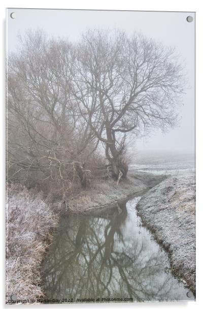 Enchanting Winter Morning Along The River Bain Acrylic by Martin Day
