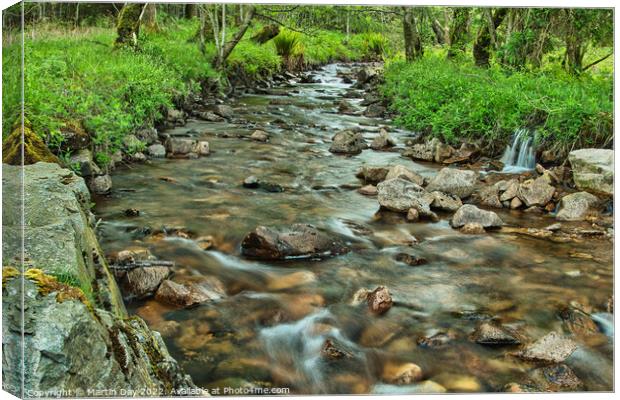 Enchanting Dry Beck at Ennerdale Water Canvas Print by Martin Day