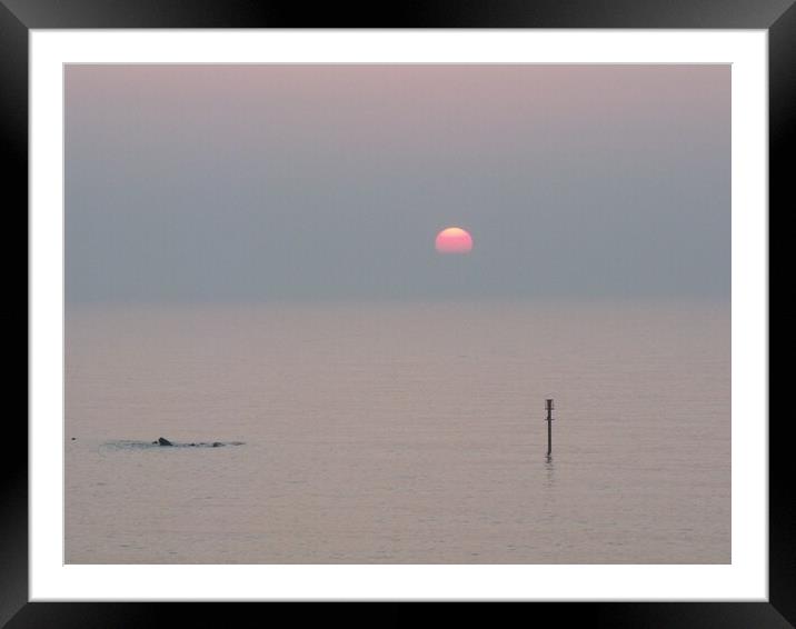 Sunrise at Newbiggin-by-the-Sea Framed Mounted Print by Richard Dixon