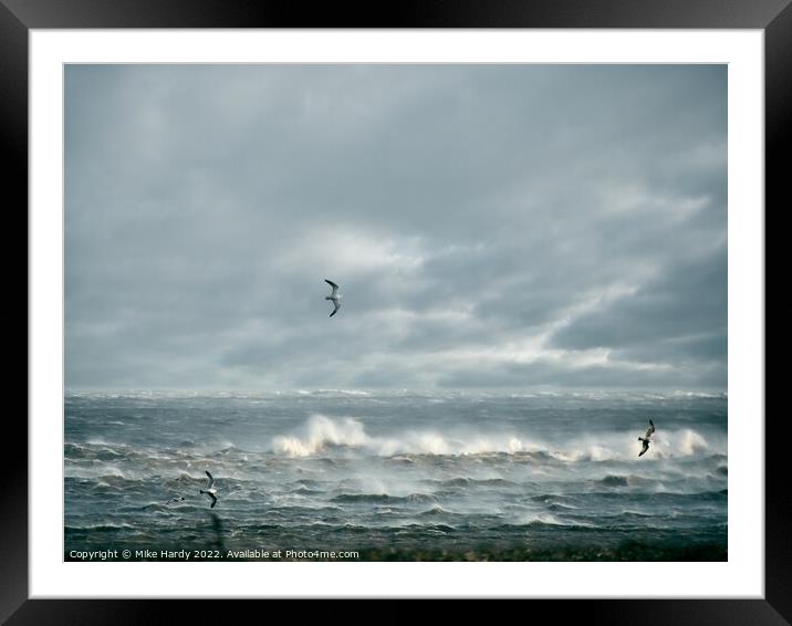 Riding the winds Framed Mounted Print by Mike Hardy