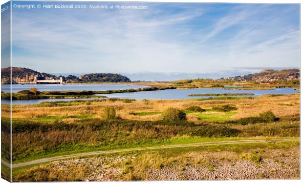 Conwy RSPB Nature Reserve in Autumn Canvas Print by Pearl Bucknall