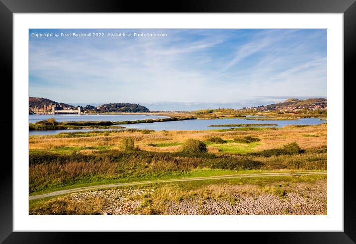 Conwy RSPB Nature Reserve in Autumn Framed Mounted Print by Pearl Bucknall