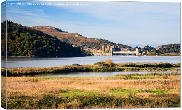 Conwy River and RSPB Nature Reserve Wales Canvas Print by Pearl Bucknall