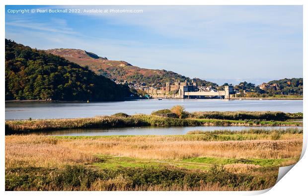 Conwy River and RSPB Nature Reserve Wales Print by Pearl Bucknall