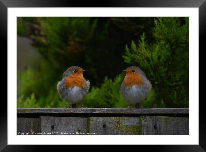 Best Buds Framed Mounted Print by claire chown