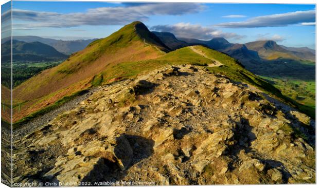 Catbells from Skelgill Bank in early light Canvas Print by Chris Drabble