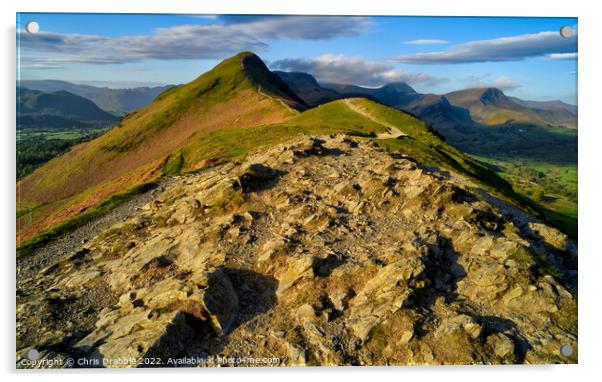 Catbells from Skelgill Bank in early light Acrylic by Chris Drabble