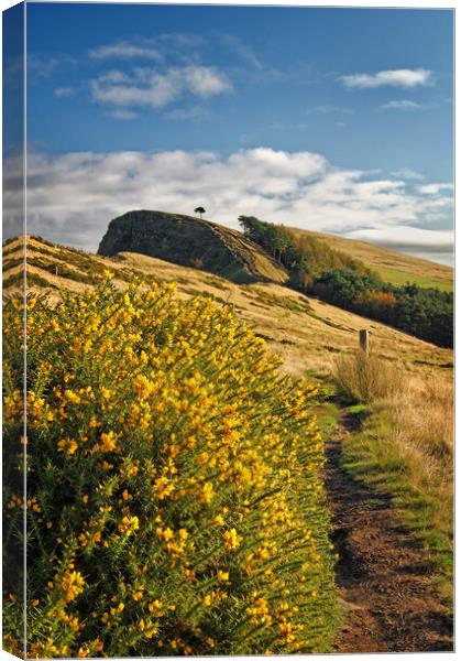 Footpath to Back Tor Derbyshire Peak District  Canvas Print by Darren Galpin