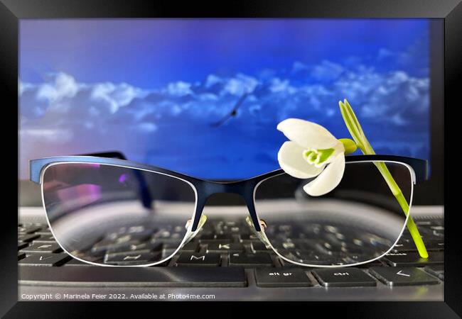 Snowdrop glasses keyboard Framed Print by Marinela Feier