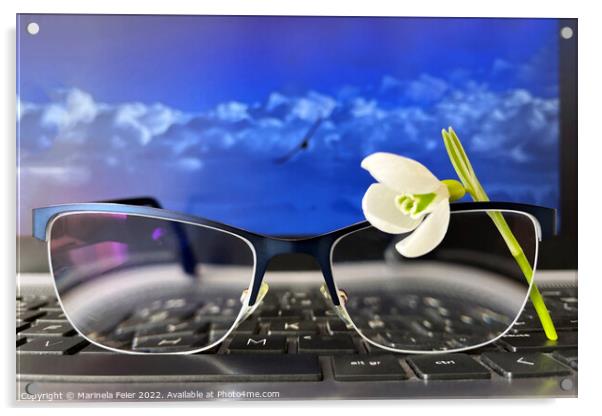 Snowdrop glasses keyboard Acrylic by Marinela Feier
