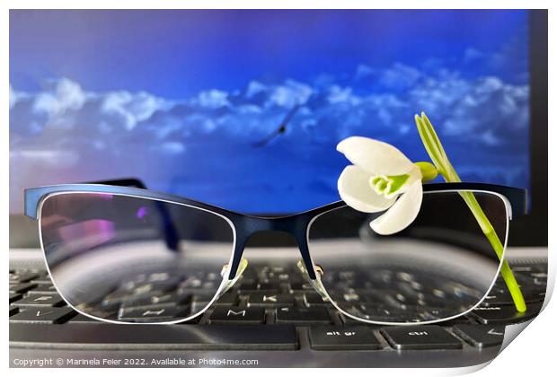 Snowdrop glasses keyboard Print by Marinela Feier