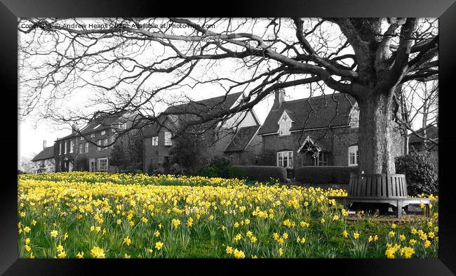 Blooming Beauty at Astbury Village Framed Print by Andrew Heaps