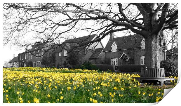 Blooming Beauty at Astbury Village Print by Andrew Heaps