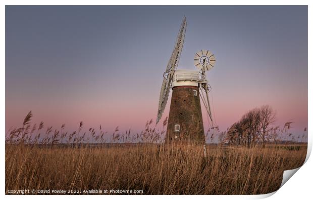 Dawn At Hardley Mill  Print by David Powley