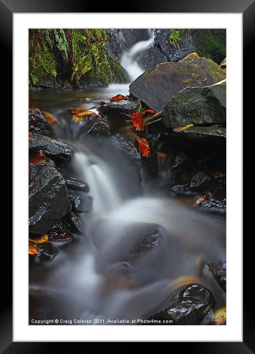 Snaking brook Framed Mounted Print by Craig Coleran